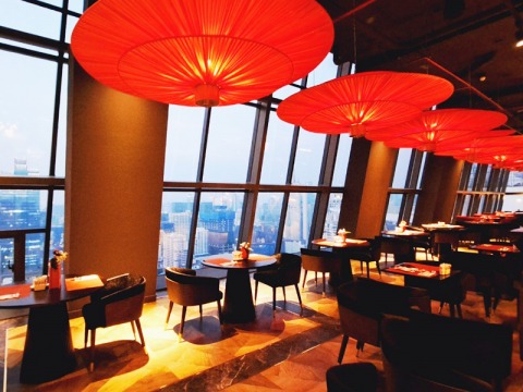 DK Wow Xingu DK Wow Xingu